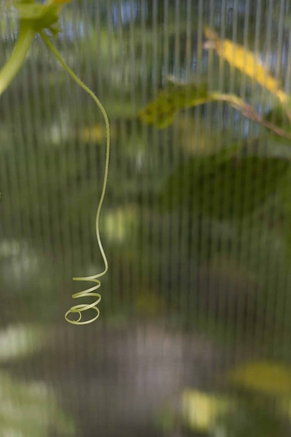 Comment les circuits d'entraînement en poids corporel peuvent-ils être adaptés pour les débutants en fitness?